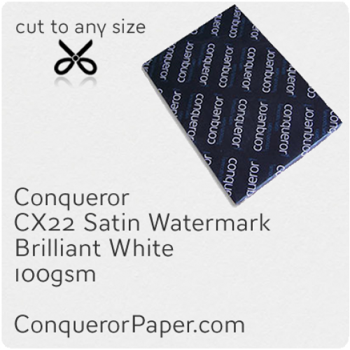 PAPER - CX22.42459, TINT:BrilliantWhite, FINISH:CX22, PAPER:100gsm, SIZE:450x640mm, QUANTITY:500Sheets, WATERMARK:Yes