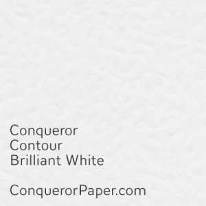 Brilliant White Contour Brilliant White Contour