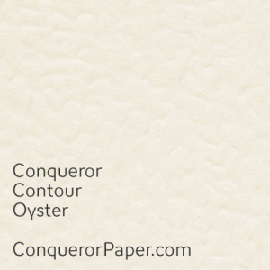 Oyster Contour Oyster Contour