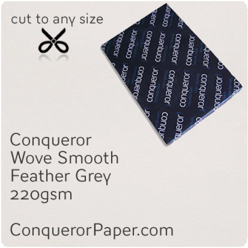 PAPER - Wove.42869, TINT:Feather Grey, FINISH:Wove, PAPER:220gsm, SIZE:B1-700x1000mm, QTY:100Sheets, WATERMARKED:No